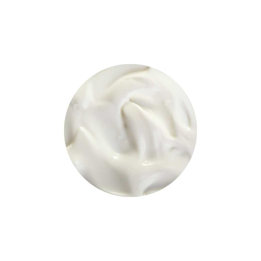 Cocomint Creamy Conditioner | Deep Hydration